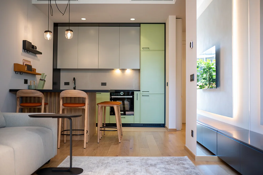 Apartment Novi Dorcol, Belgrade, 2021 — interior view 3